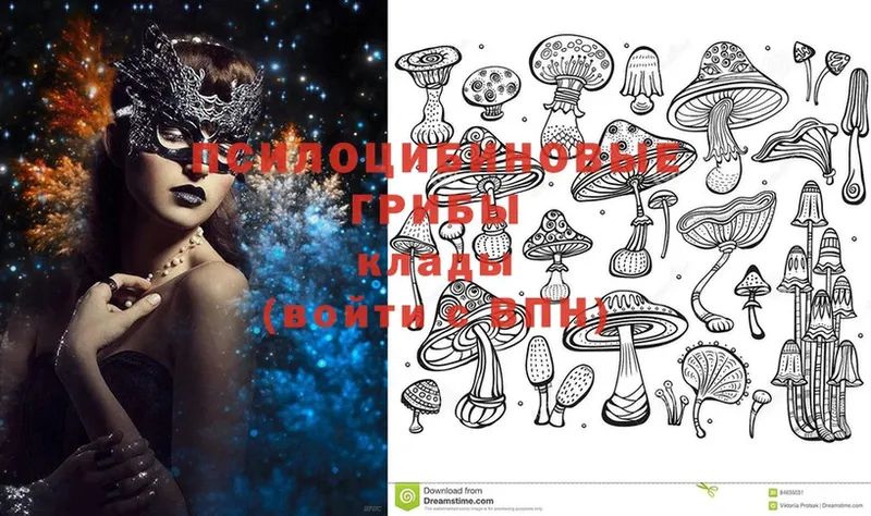 цены   Темрюк  Псилоцибиновые грибы Magic Shrooms 